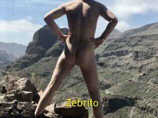 Zebrito