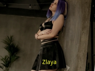 Zlaya